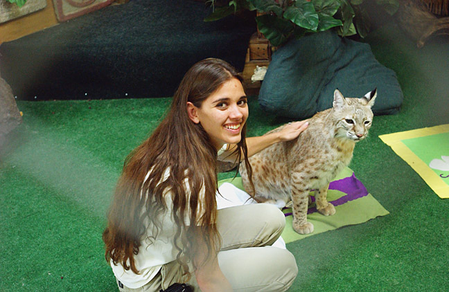 Assistant director Chandra Comstock takes time to play with Jay, the Eco Station's beloved bobcat.